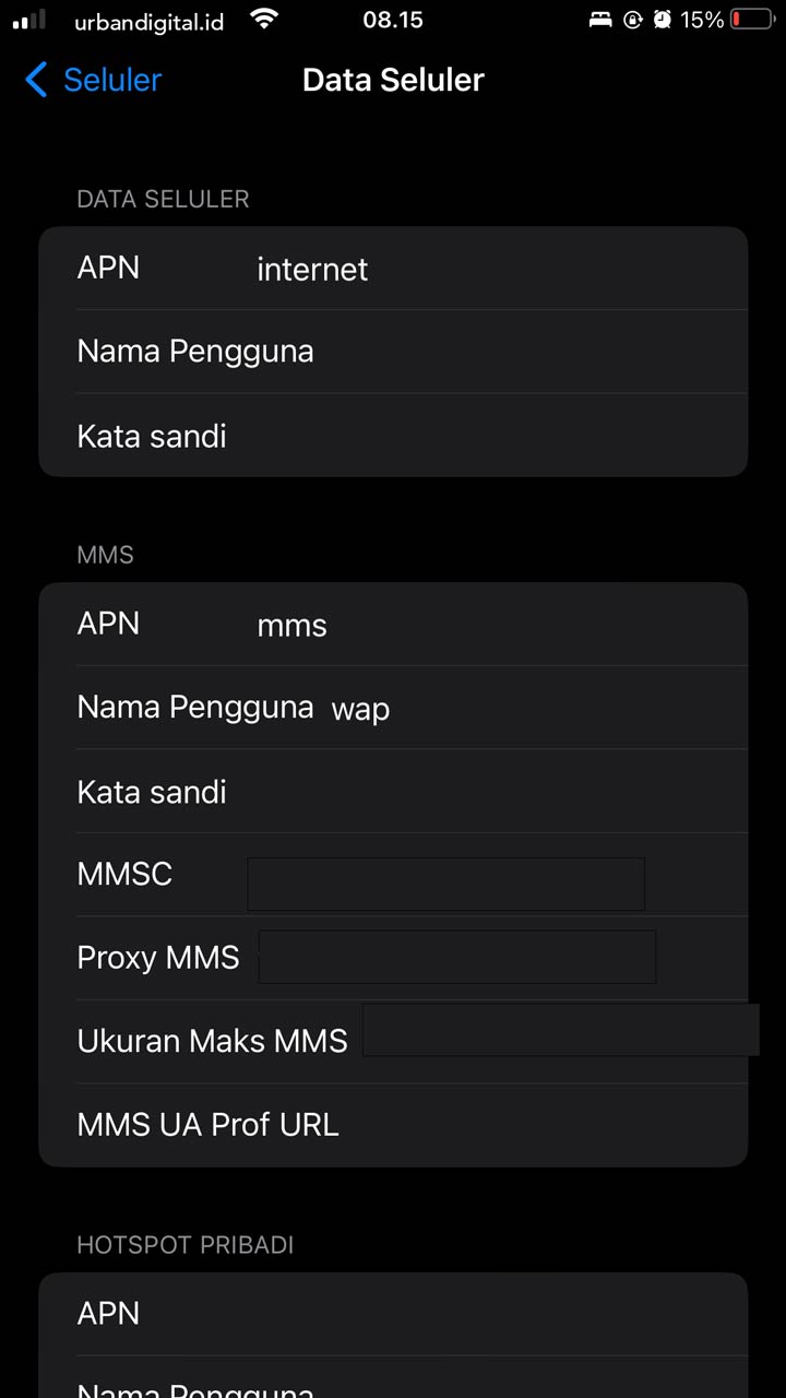 gambar tangkapan layar pengaturan apn iphone