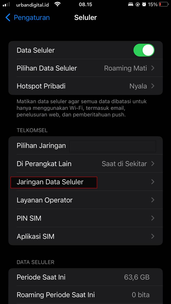 gambar tangkapan layar pengaturan data seluler iphone