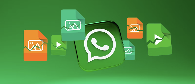 FotoVideo Tersimpan Otomatis di Galeri Aplikasi WhatsApp