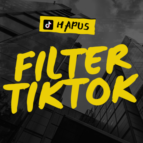 Cara Menghilangkan Filter TikTok yang Ampuh dan 100% Berhasil