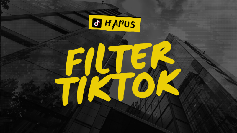 Cara Menghilangkan Filter TikTok yang Ampuh dan 100 Berhasil