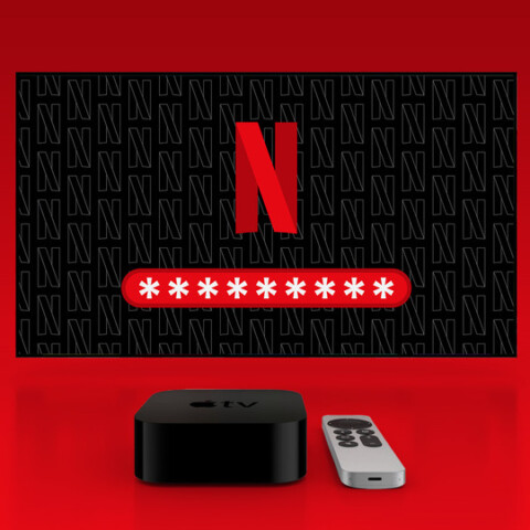 netflix monetisasi share password