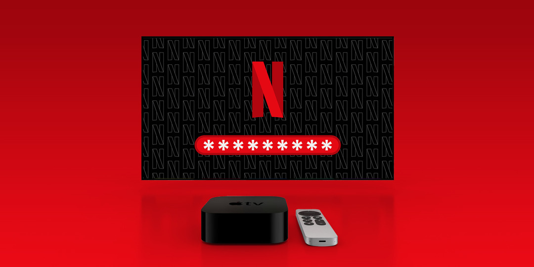 netflix monetisasi share password