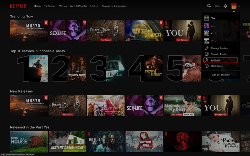 Situs Web - mengubah tampilan subtitle netflix 1