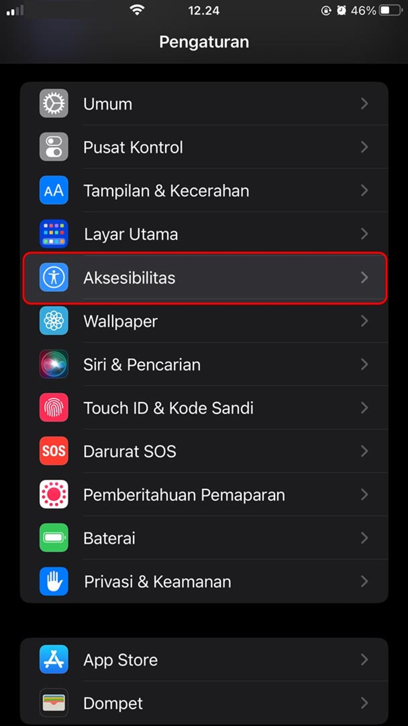 mengubah Tampilan subtitle  Netflix di iPhone 1