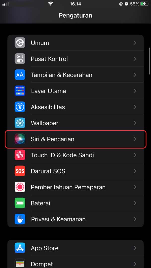 letak pengaturan siri di iphone