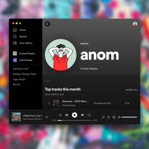 profil spotify