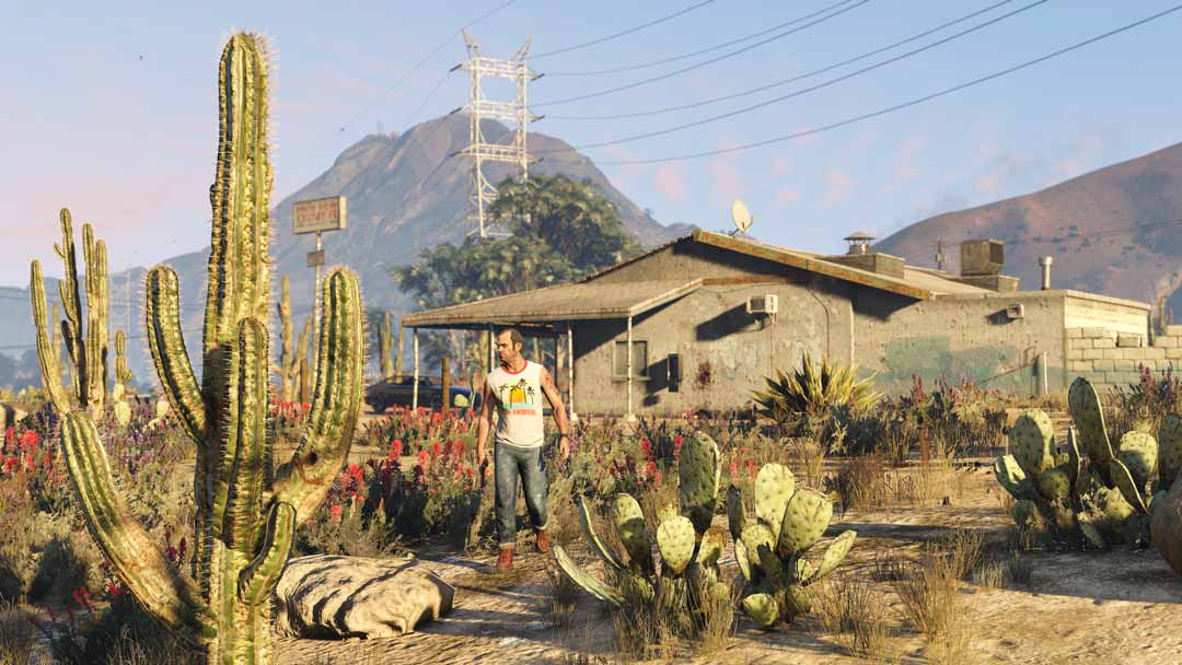 grand theft auto v