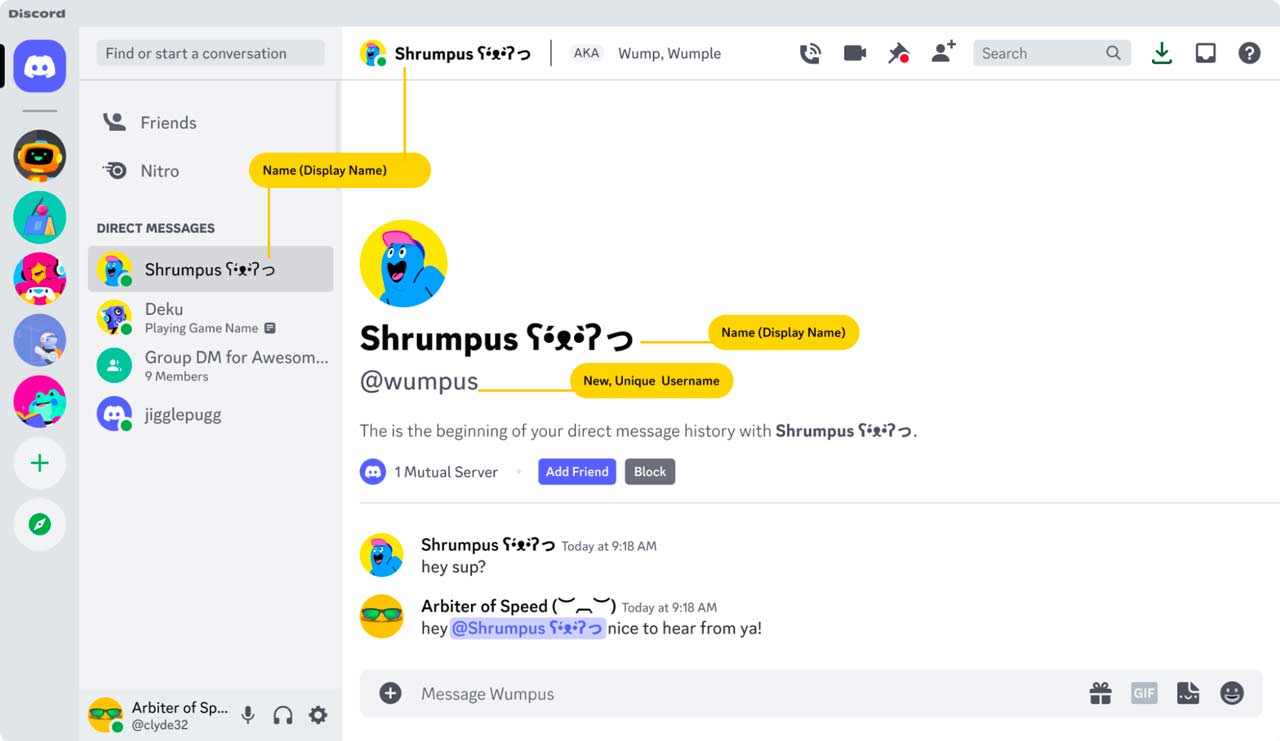 letak username dan display name discord
