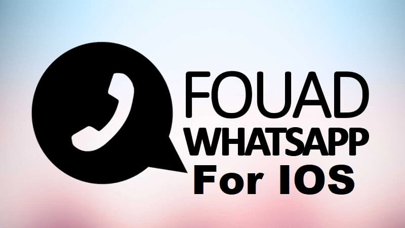 Cara Pakai Tema Whatsapp iPhone