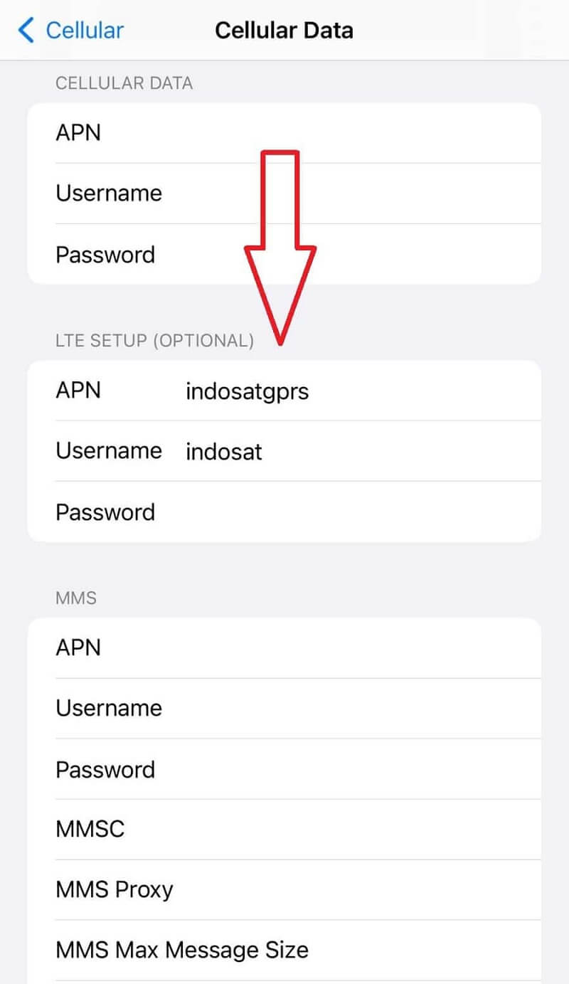Setting APN Indosat di iOS