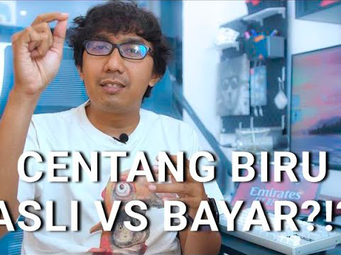 akun centang biru