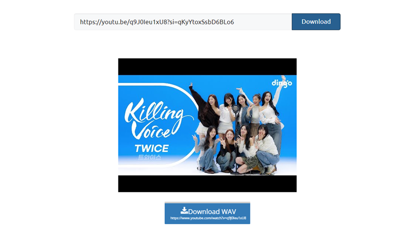 YouTube ke WAV - YouTubetoWAVconverter 4
