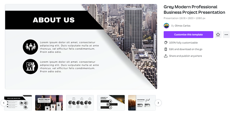 Grey Modern Professional Business Project Presentation - web template ppt