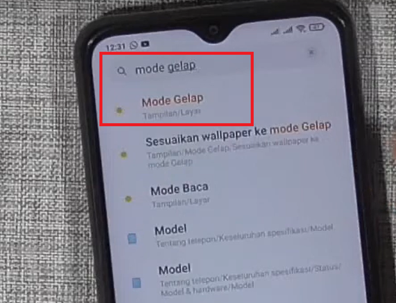 sumber gambar: Raka Channel/YouTube
