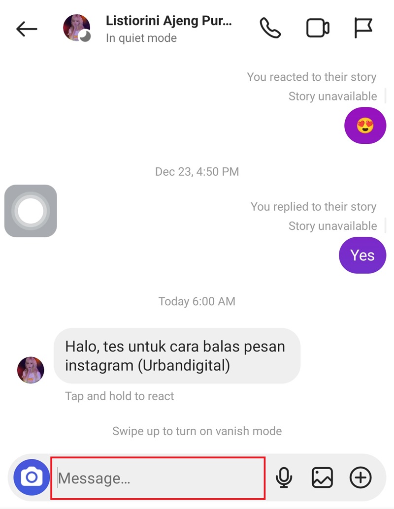 Cara Membalas Pesan di Instagram 3