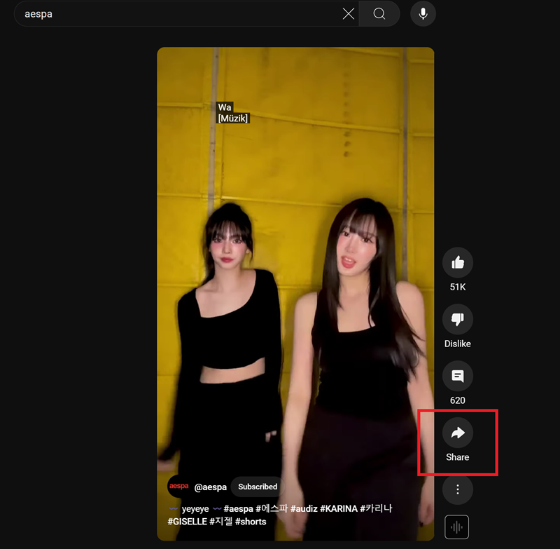 Publer shorts video downloader 1