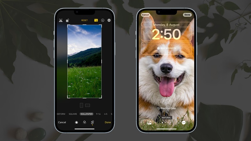 Tips Memilih Wallpaper Beresolusi Tinggi