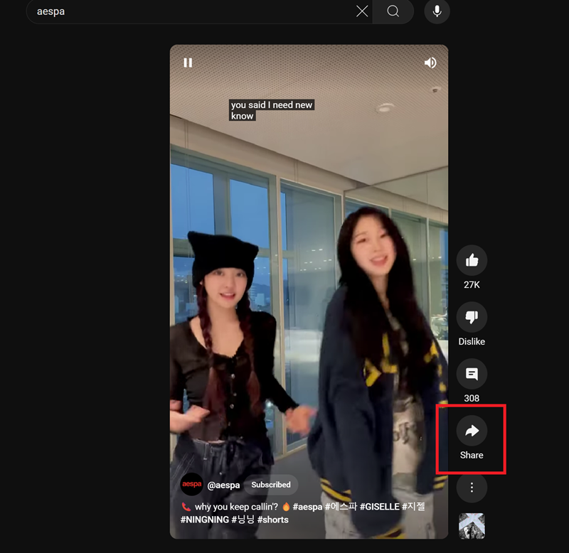 YouTube Video Shorts Downloader 1