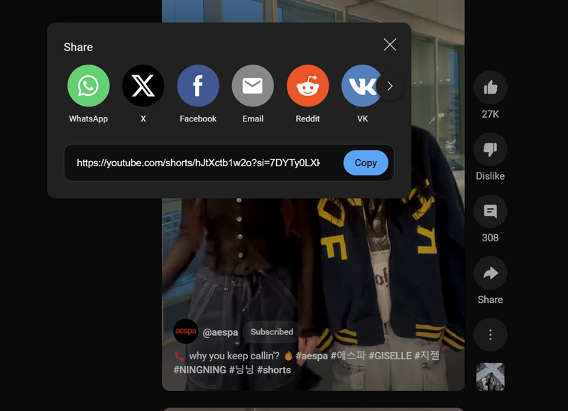 YouTube Video Shorts Downloader 2
