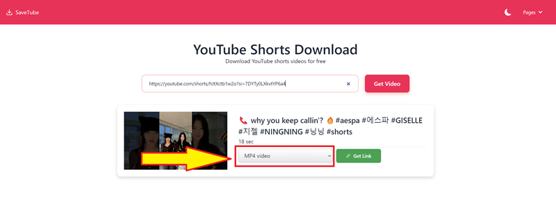 YouTube Video Shorts Downloader 3