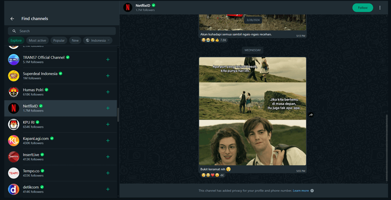 Channel WhatsApp Web