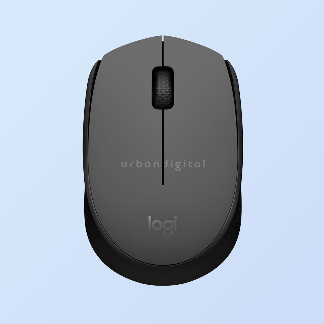 Logitech M171