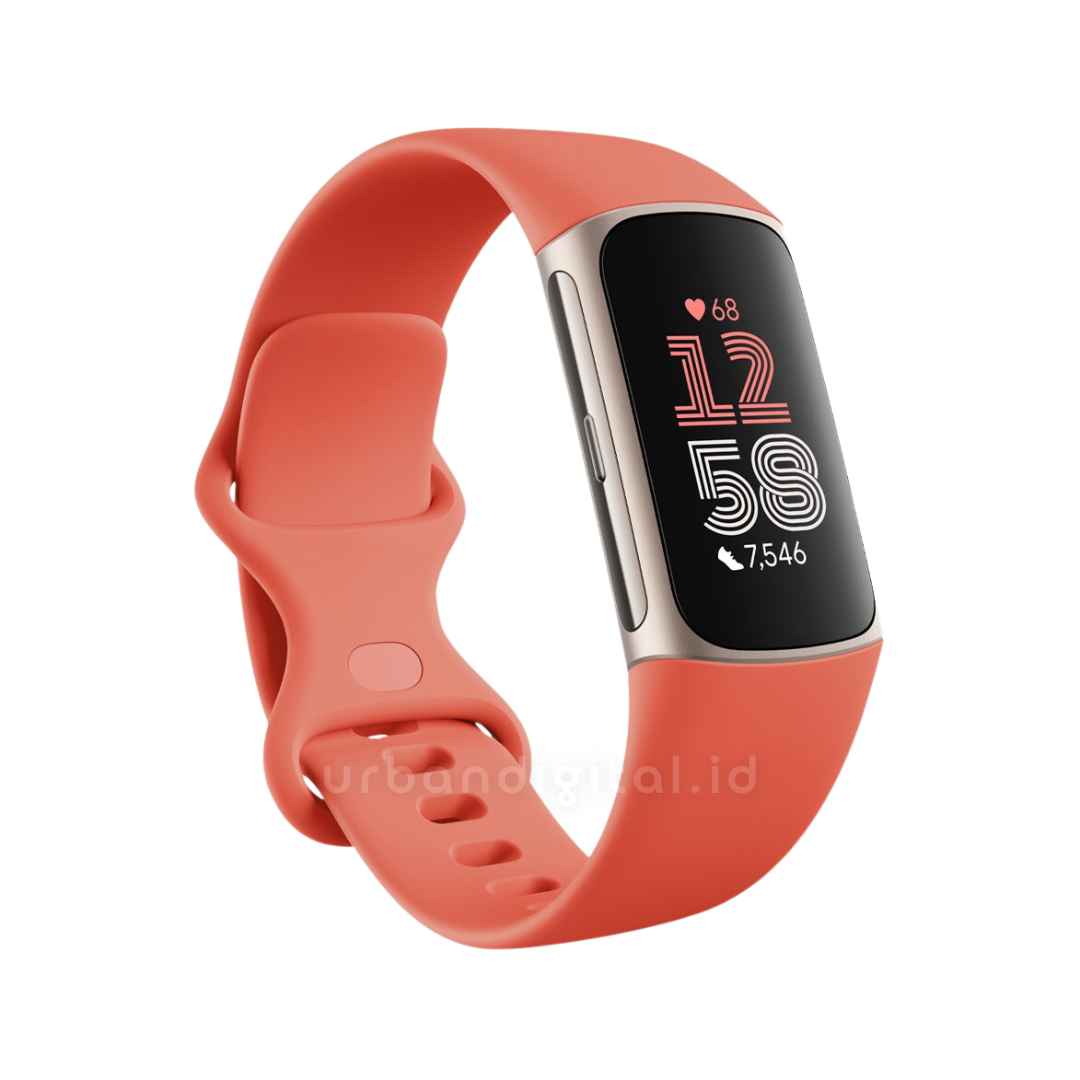 Fitbit Charge 6