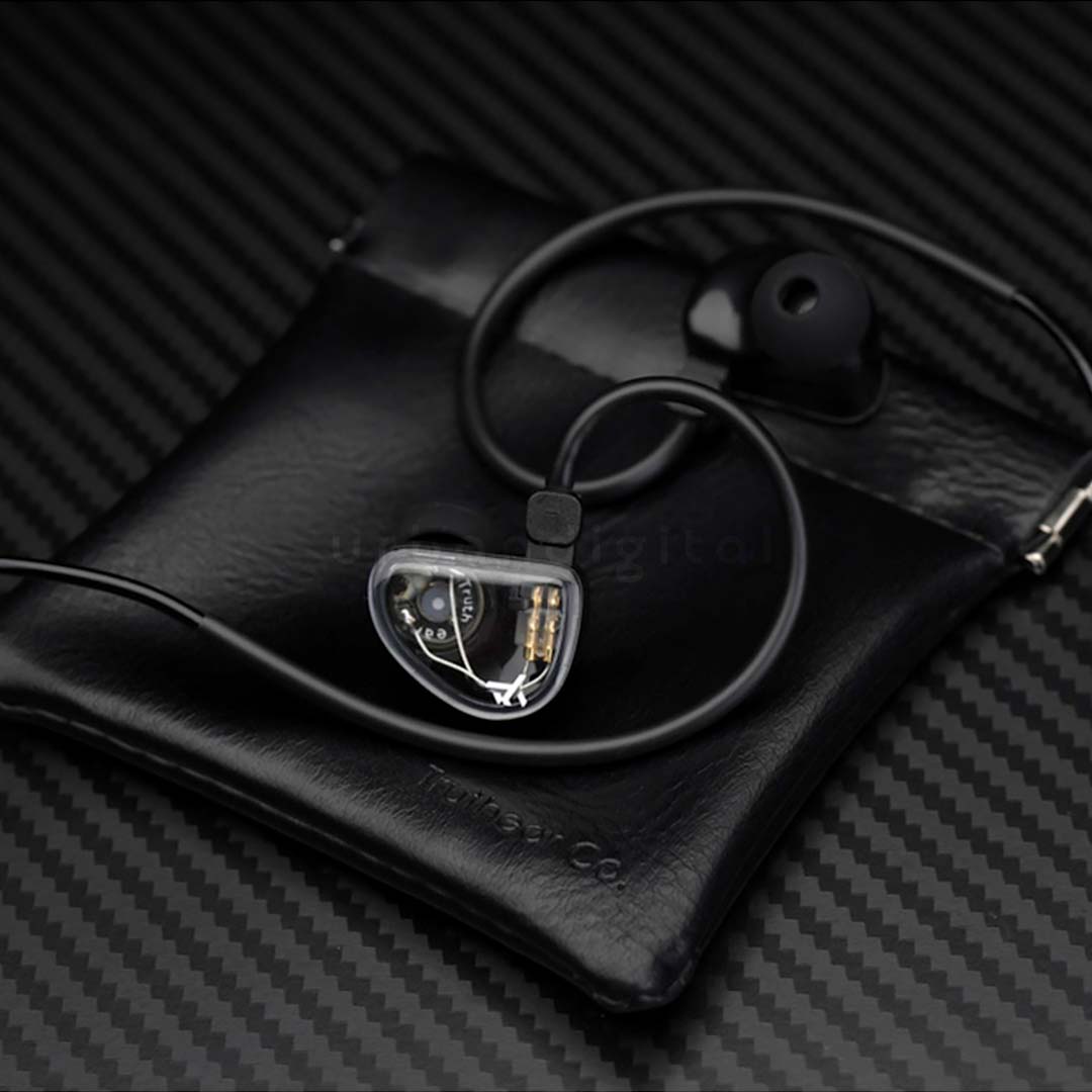 IEM TruthEar GATE