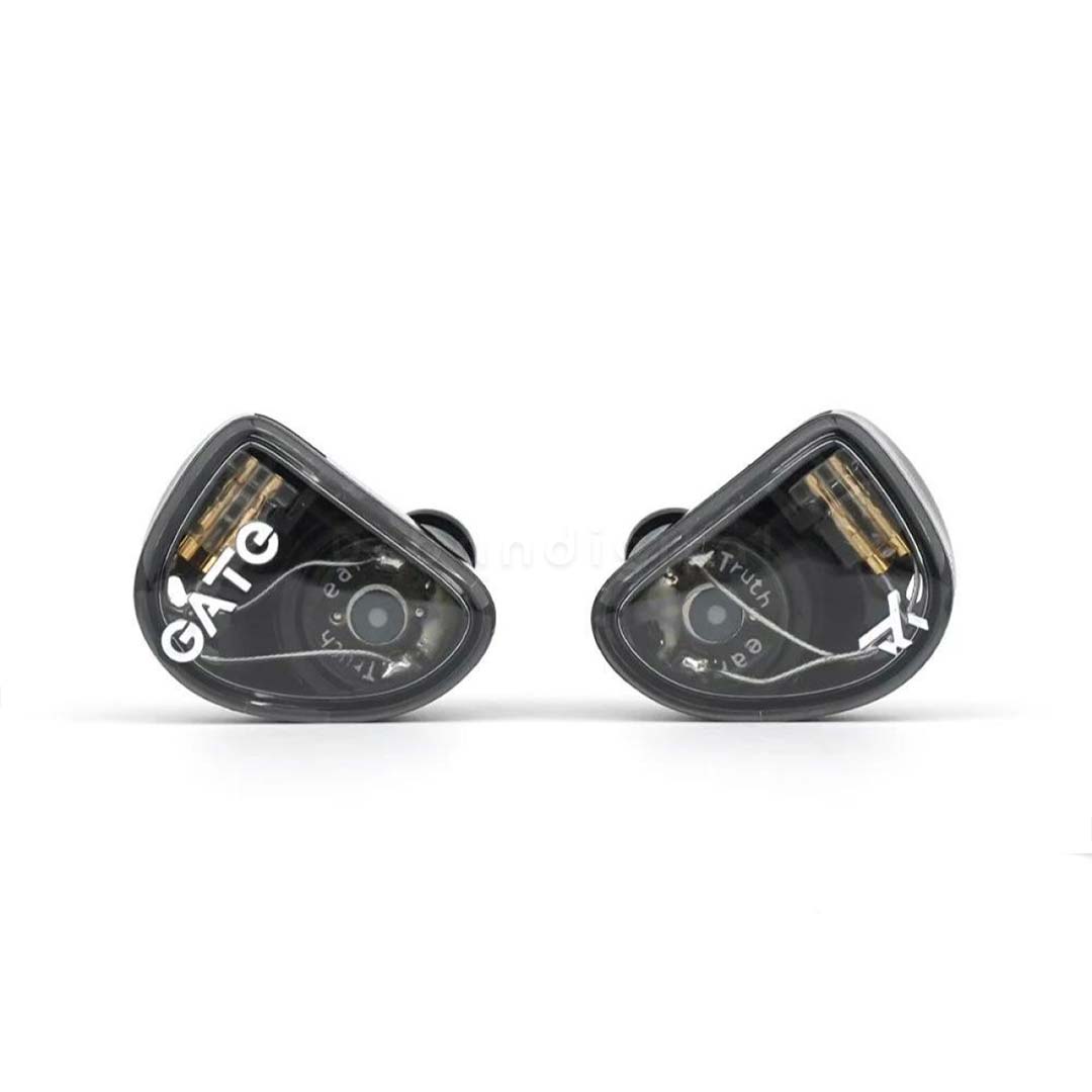 IEM TruthEar GATE
