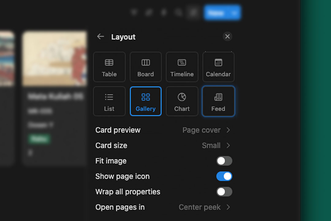 tampilan pilihan view database notion