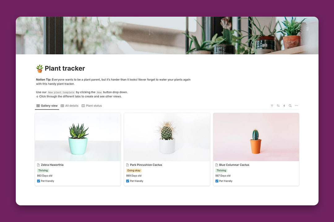 gambar template Plant Tracker dari Notion